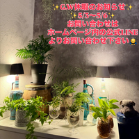 画像521