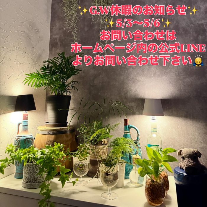 画像521