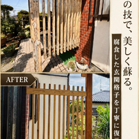 画像593