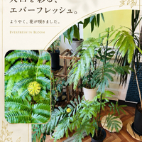 画像595