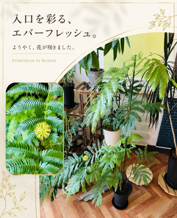 画像595