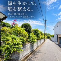 画像619