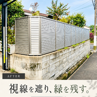 画像620